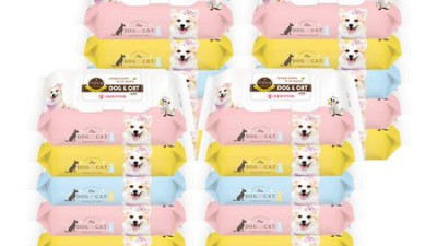 🐶 댕댕이 맘 필독! 더독앤캣 강아지사료 솔직 후기 & 꿀팁 대방출! 🐾